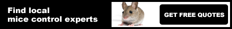 mice control